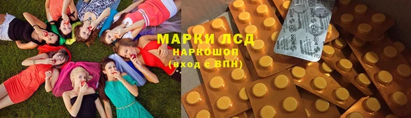 PSILOCYBIN Карпинск