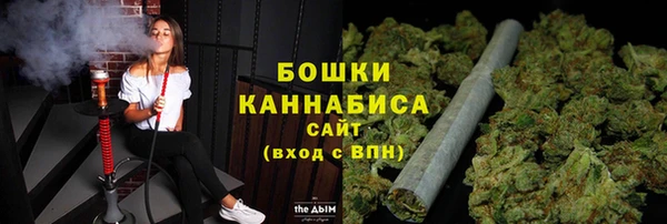 PSILOCYBIN Карпинск