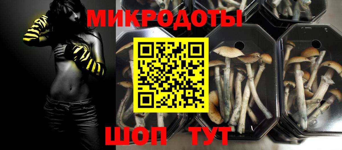 Комсомольск-на-Амуре  Псилоцибиновые грибы Psilocybe  Галлюциногенные грибы мицелий  Вход с VPN 